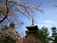 仁和寺