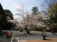 仁和寺