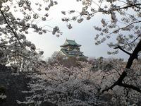 大阪城公園