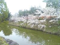 郡山城址公園