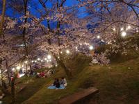 高野口公園