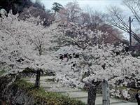 久松公園