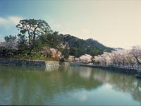 鹿野城跡公園