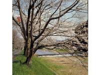法勝寺川・城山公園