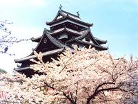 松江城・春
