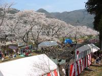 白谷公園（しらたにこうえん）