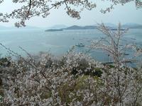 正福寺山公園