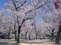 玉藻公園