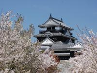松山城山公園