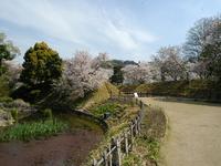 道後公園