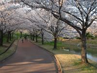 駕与丁公園