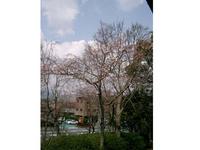 勝盛公園