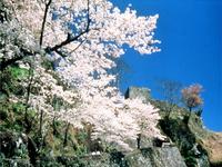 岡城跡