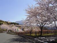 霧島神話の里公園